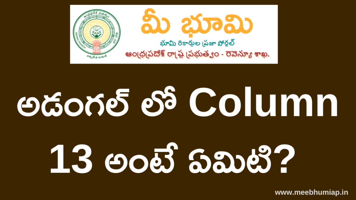 adangal column 13