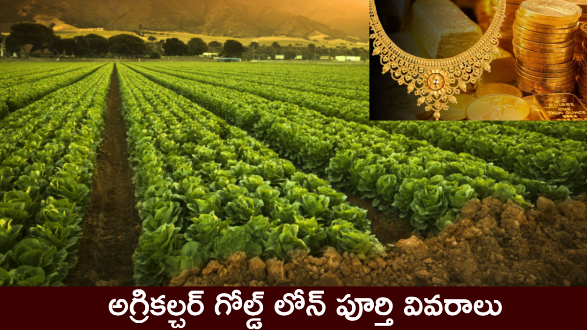 సాధారణ గోల్డ్ లోన్ కి, భూమి మీద తీసుకునే గోల్డ్ లోన్ కి తేడా ఏంటి ?