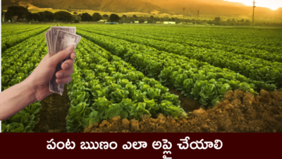 వ్యవసాయ ఋణం వడ్డీ ఎంత ? online lo ఎలా అప్లై చేయాలి? – పూర్తి వివరాలు